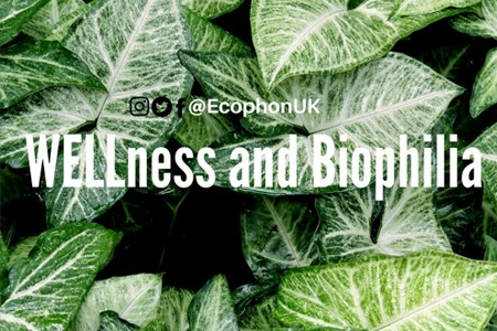 Ecophon Saint-Gobain Acoustic CPD Course: WELLness and Biophilia